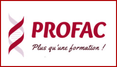 PROFAC formation en art-thérapie politique des cookies 