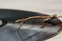 Voix et création musicale - Week-end du 10 et 11 octobre 2026- Médiation artistique - Stage de 2 jours à Arles Voix et création musicale - Week-end du 10 et 11 octobre 2026- Médiation artistique - Stage de 2 jours à Arles