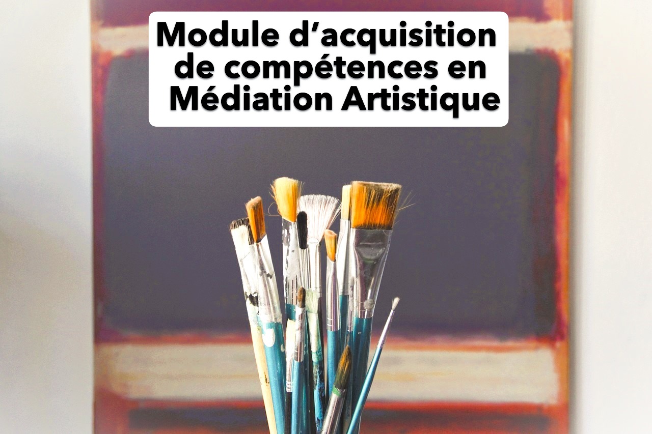 Module d’acquisition de compétences en Médiation Artistique Module d’acquisition de compétences en Médiation Artistique