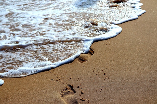 STAGE : La trace en Danse-thérapie -- 2 jours en VISIO - 15 et 16 mai 2027