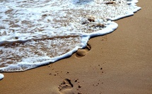 " La trace en Danse-thérapie " - STAGE de 2 jours - en VISIO - 14 et 15 février 2026